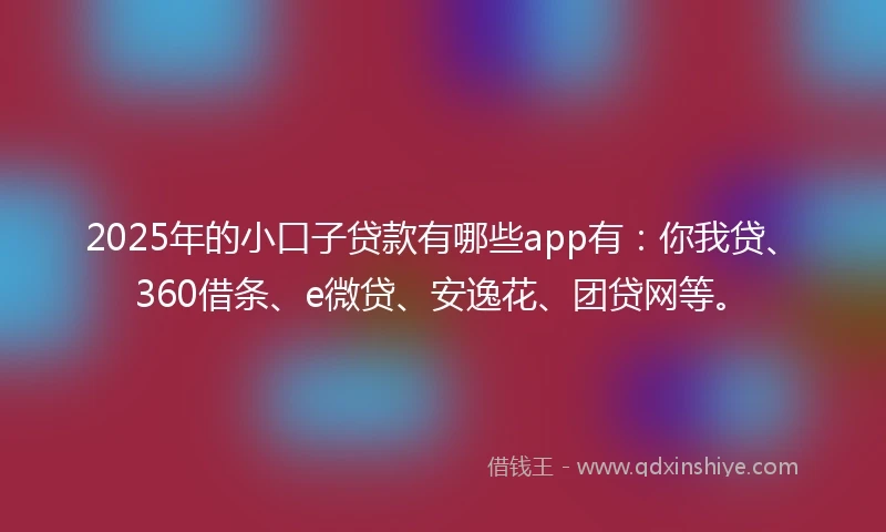 2025年的小口子贷款有哪些app有：你我贷、360借条、e微贷、安逸花、团贷网等。