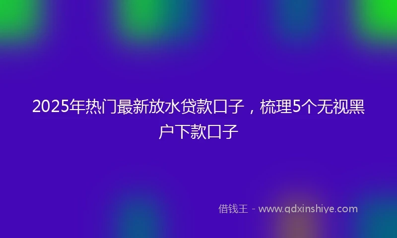 2025年热门最新放水贷款口子，梳理5个无视黑户下款口子