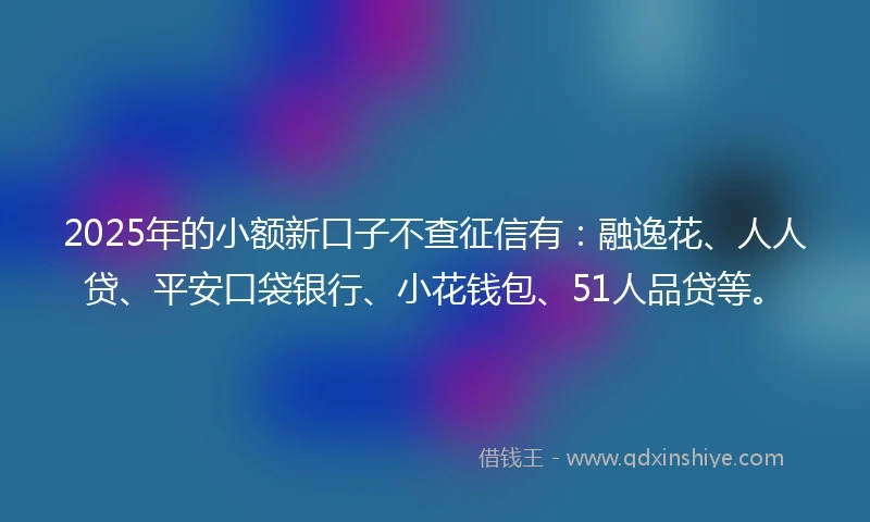 2025年的小额新口子不查征信有：融逸花、人人贷、平安口袋银行、小花钱包、51人品贷等。