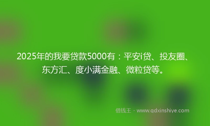 2025年的我要贷款5000有：平安i贷、投友圈、东方汇、度小满金融、微粒贷等。
