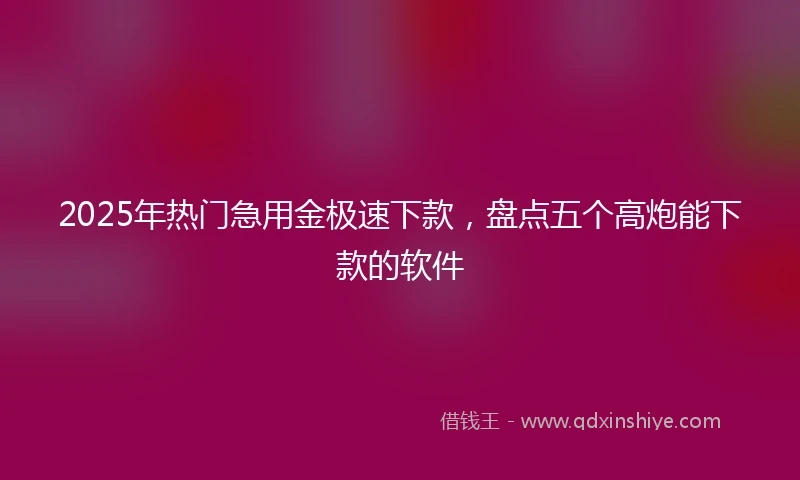 2025年热门急用金极速下款，盘点五个高炮能下款的软件