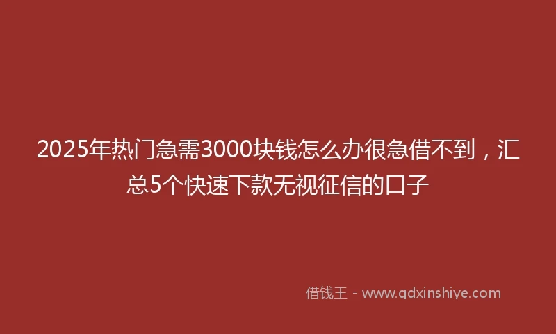 2025年热门急需3000块钱怎么办很急借不到，汇总5个快速下款无视征信的口子
