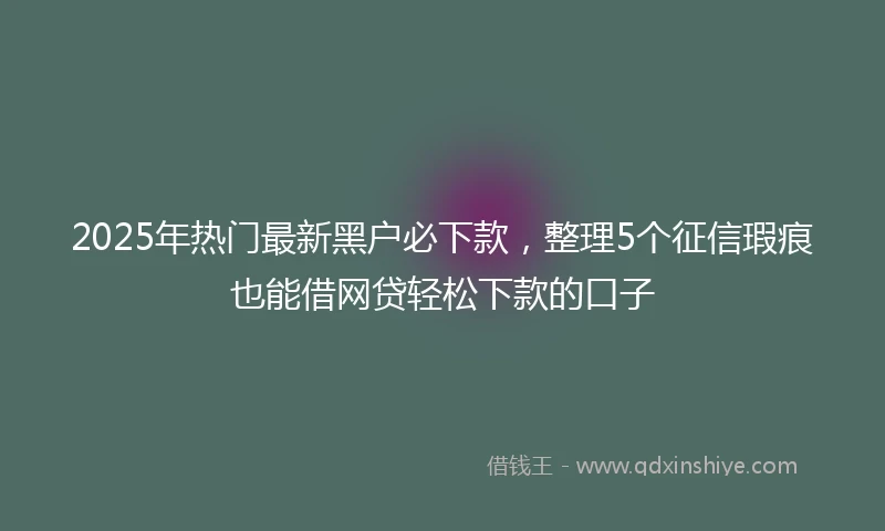 2025年热门最新黑户必下款，整理5个征信瑕疵也能借网贷轻松下款的口子