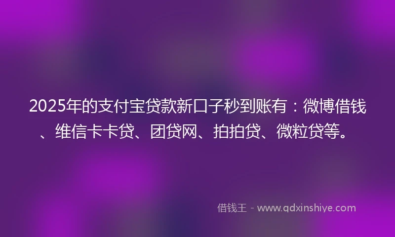2025年的支付宝贷款新口子秒到账有：微博借钱、维信卡卡贷、团贷网、拍拍贷、微粒贷等。