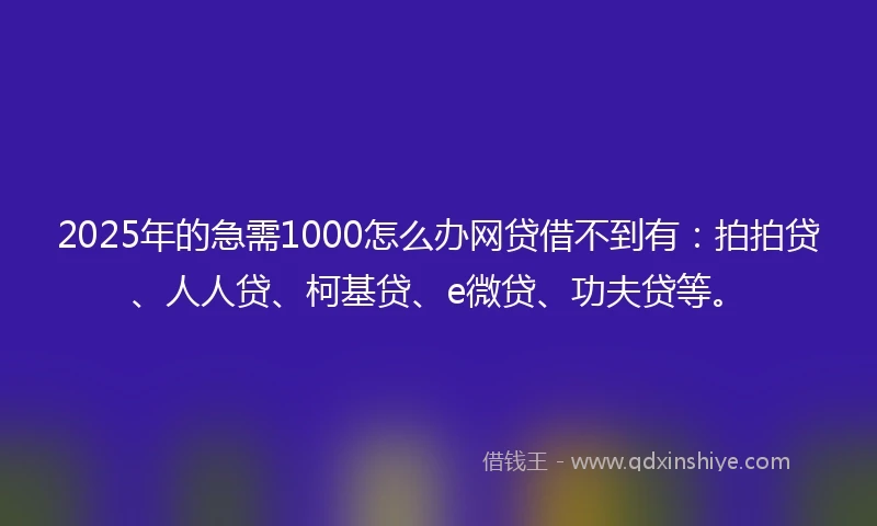 2025年的急需1000怎么办网贷借不到有：拍拍贷、人人贷、柯基贷、e微贷、功夫贷等。
