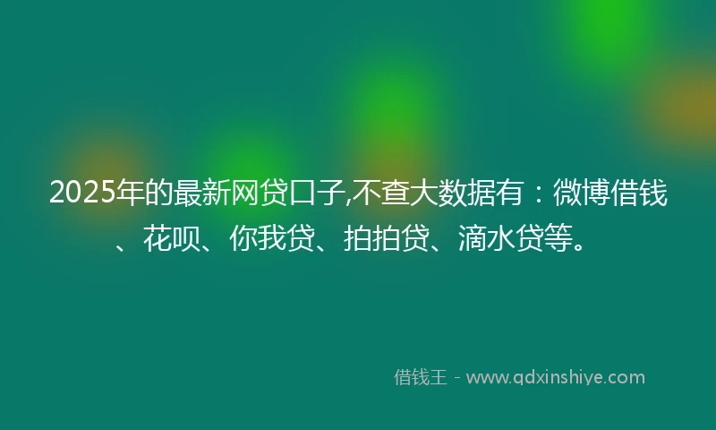 2025年的最新网贷口子,不查大数据有：微博借钱、花呗、你我贷、拍拍贷、滴水贷等。
