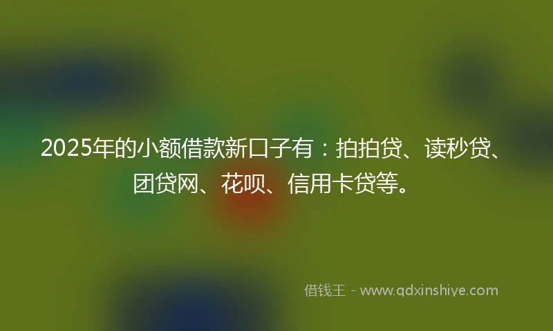 2025年的小额借款新口子有：拍拍贷、读秒贷、团贷网、花呗、信用卡贷等。