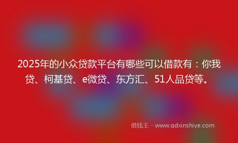 2025年的小众贷款平台有哪些可以借款有：你我贷、柯基贷、e微贷、东方汇、51人品贷等。