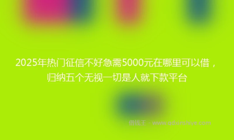 2025年热门征信不好急需5000元在哪里可以借，归纳五个无视一切是人就下款平台