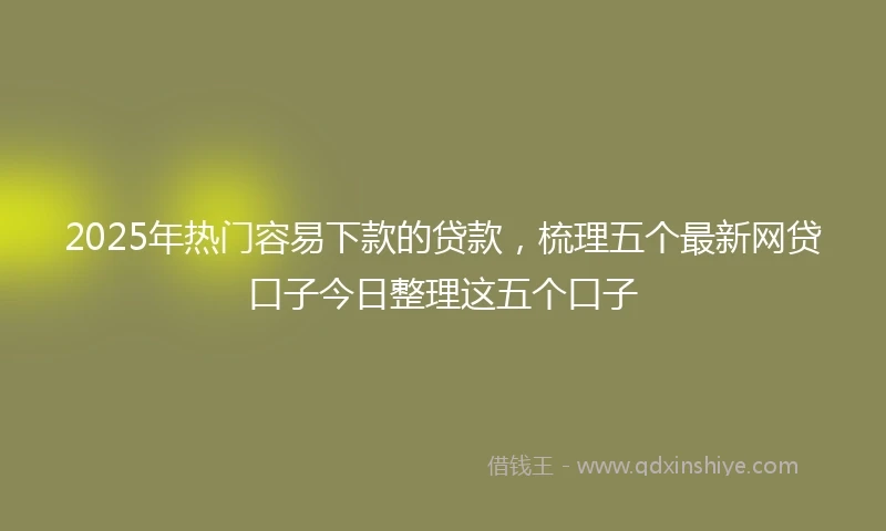 2025年热门容易下款的贷款，梳理五个最新网贷口子今日整理这五个口子