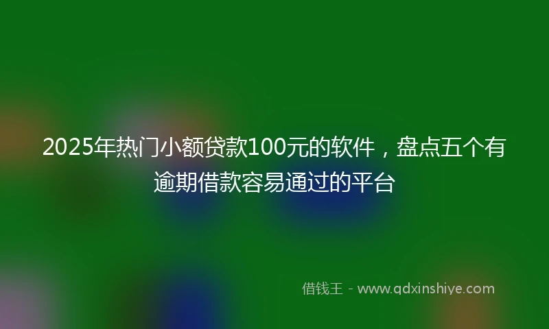 2025年热门小额贷款100元的软件，盘点五个有逾期借款容易通过的平台