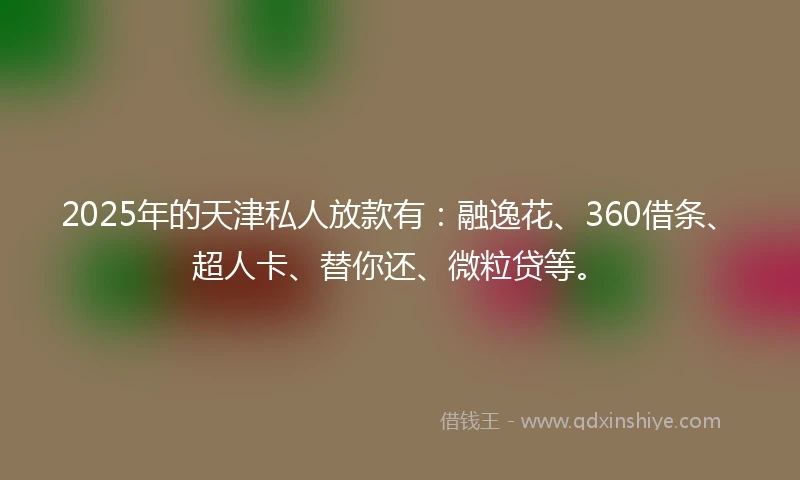 2025年的天津私人放款有：融逸花、360借条、超人卡、替你还、微粒贷等。