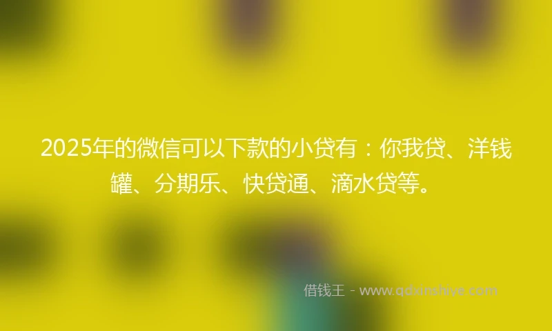 2025年的微信可以下款的小贷有：你我贷、洋钱罐、分期乐、快贷通、滴水贷等。