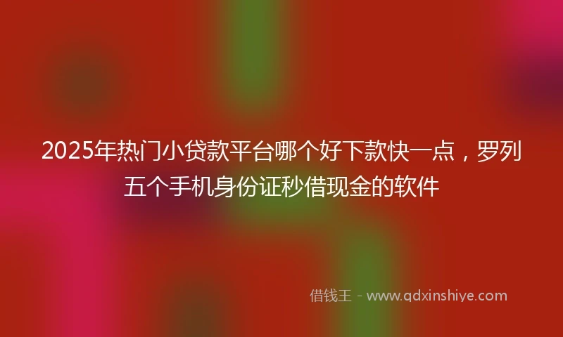 2025年热门小贷款平台哪个好下款快一点，罗列五个手机身份证秒借现金的软件