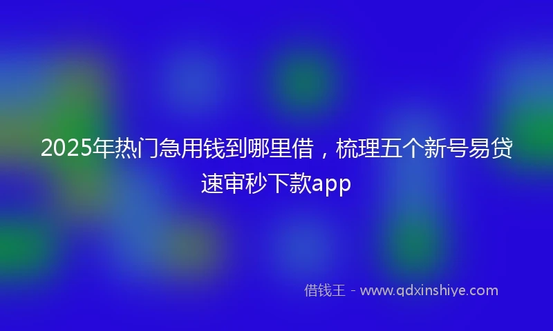 2025年热门急用钱到哪里借，梳理五个新号易贷速审秒下款app