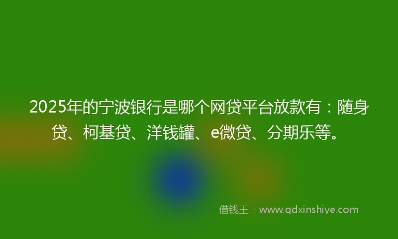 2025年的宁波银行是哪个网贷平台放款有：随身贷、柯基贷、洋钱罐、e微贷、分期乐等。