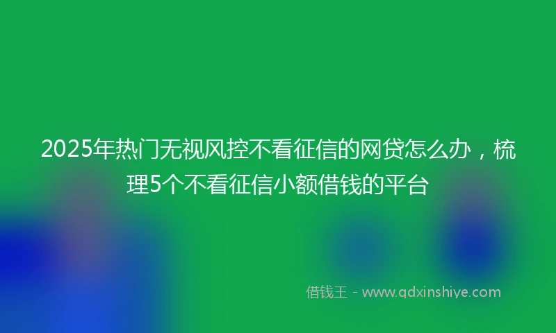 2025年热门无视风控不看征信的网贷怎么办，梳理5个不看征信小额借钱的平台