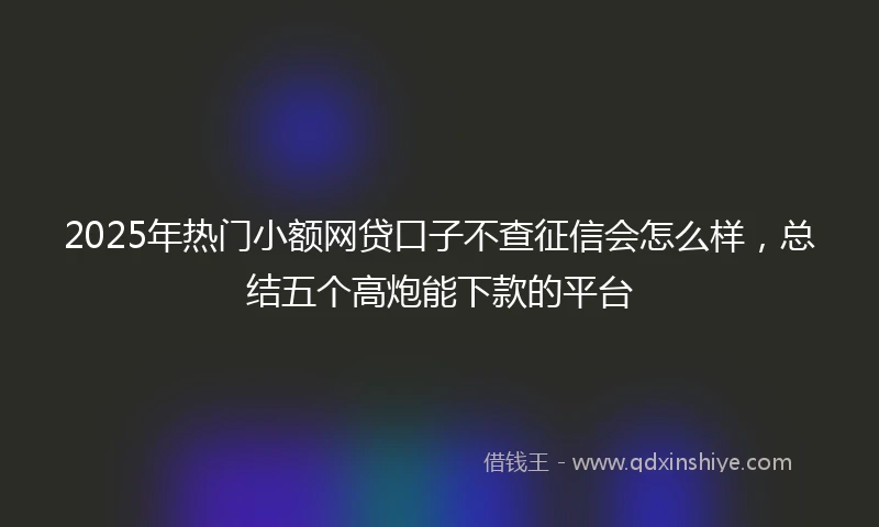 2025年热门小额网贷口子不查征信会怎么样，总结五个高炮能下款的平台