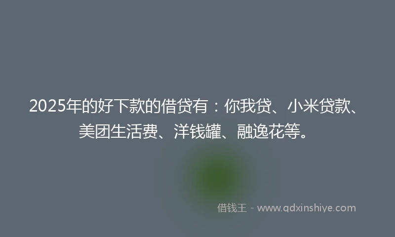 2025年的好下款的借贷有：你我贷、小米贷款、美团生活费、洋钱罐、融逸花等。