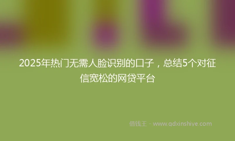 2025年热门无需人脸识别的口子，总结5个对征信宽松的网贷平台