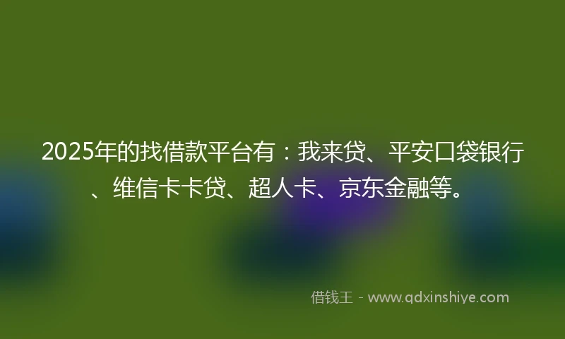 2025年的找借款平台有：我来贷、平安口袋银行、维信卡卡贷、超人卡、京东金融等。