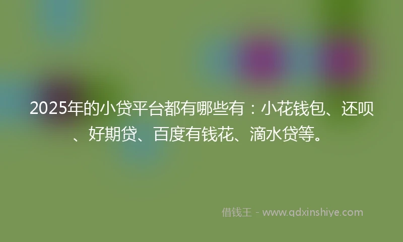 2025年的小贷平台都有哪些有：小花钱包、还呗、好期贷、百度有钱花、滴水贷等。