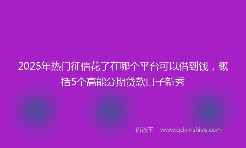 2025年热门征信花了在哪个平台可以借到钱，概括5个高能分期贷款口子新秀