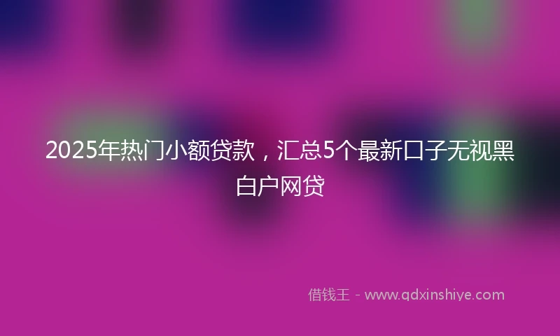 2025年热门小额贷款，汇总5个最新口子无视黑白户网贷