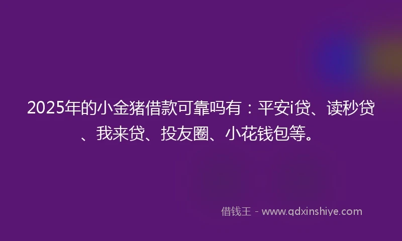 2025年的小金猪借款可靠吗有：平安i贷、读秒贷、我来贷、投友圈、小花钱包等。