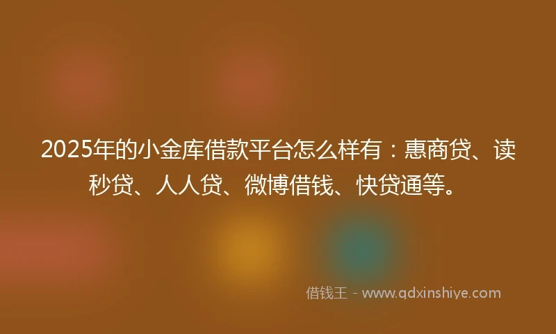 2025年的小金库借款平台怎么样有：惠商贷、读秒贷、人人贷、微博借钱、快贷通等。