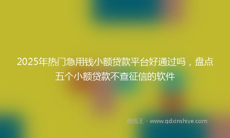 2025年热门急用钱小额贷款平台好通过吗，盘点五个小额贷款不查征信的软件