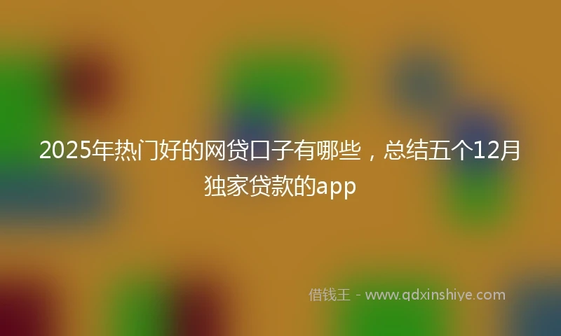 2025年热门好的网贷口子有哪些，总结五个12月独家贷款的app