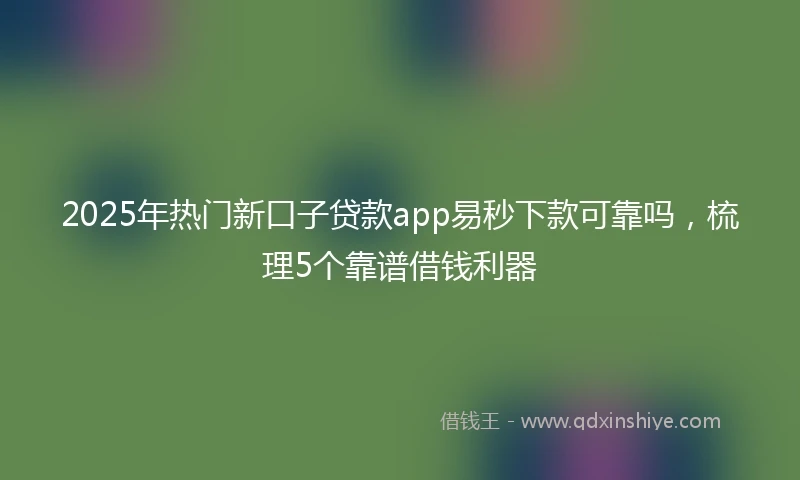 2025年热门新口子贷款app易秒下款可靠吗，梳理5个靠谱借钱利器