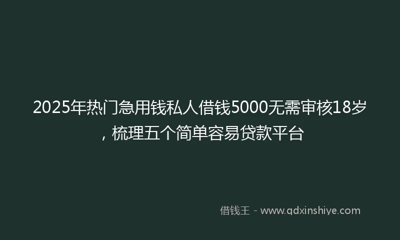 2025年热门急用钱私人借钱5000无需审核18岁，梳理五个简单容易贷款平台