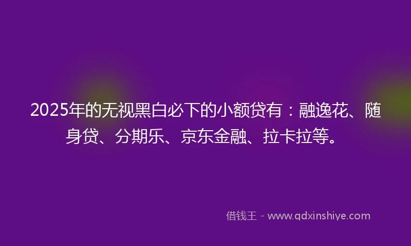 2025年的无视黑白必下的小额贷有：融逸花、随身贷、分期乐、京东金融、拉卡拉等。