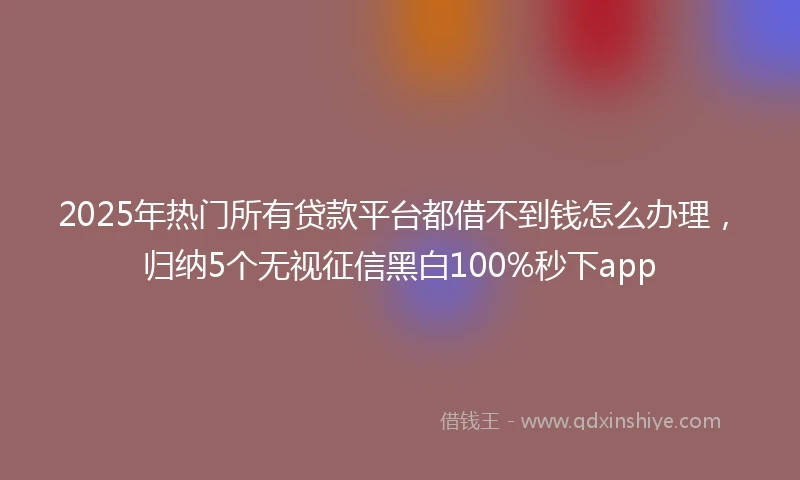 2025年热门所有贷款平台都借不到钱怎么办理，归纳5个无视征信黑白100%秒下app