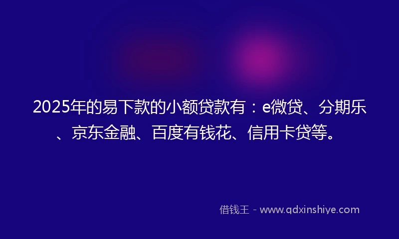2025年的易下款的小额贷款有：e微贷、分期乐、京东金融、百度有钱花、信用卡贷等。