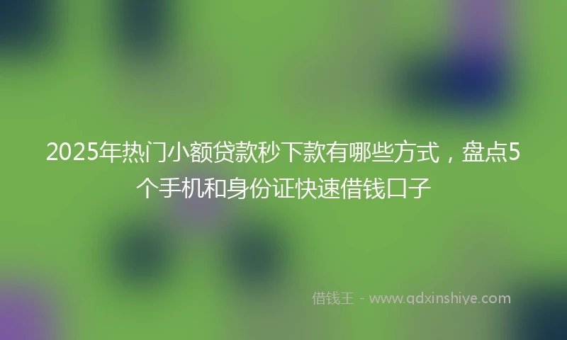 2025年热门小额贷款秒下款有哪些方式，盘点5个手机和身份证快速借钱口子