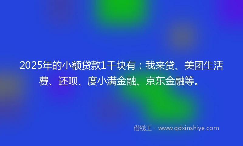 2025年的小额贷款1千块有：我来贷、美团生活费、还呗、度小满金融、京东金融等。
