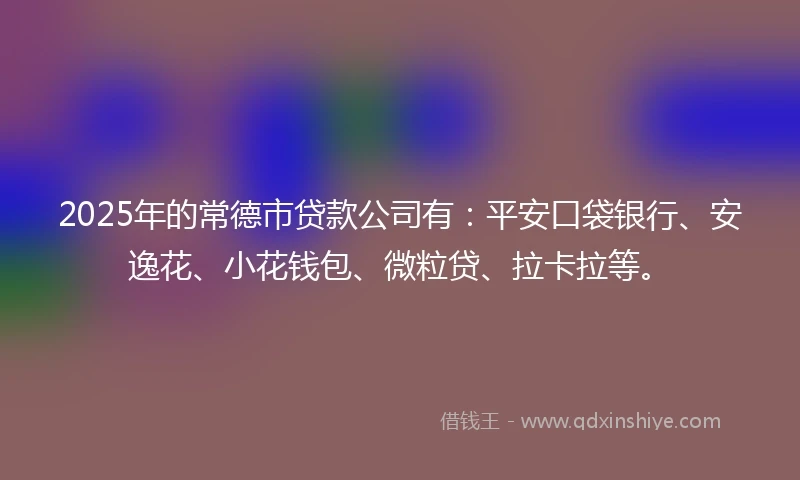 2025年的常德市贷款公司有：平安口袋银行、安逸花、小花钱包、微粒贷、拉卡拉等。