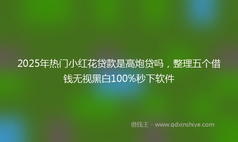 2025年热门小红花贷款是高炮贷吗，整理五个借钱无视黑白100%秒下软件