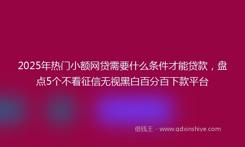 2025年热门小额网贷需要什么条件才能贷款，盘点5个不看征信无视黑白百分百下款平台
