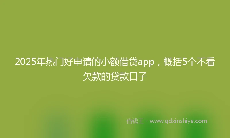 2025年热门好申请的小额借贷app，概括5个不看欠款的贷款口子