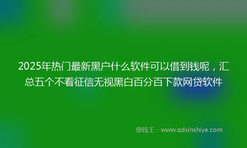 2025年热门最新黑户什么软件可以借到钱呢，汇总五个不看征信无视黑白百分百下款网贷软件