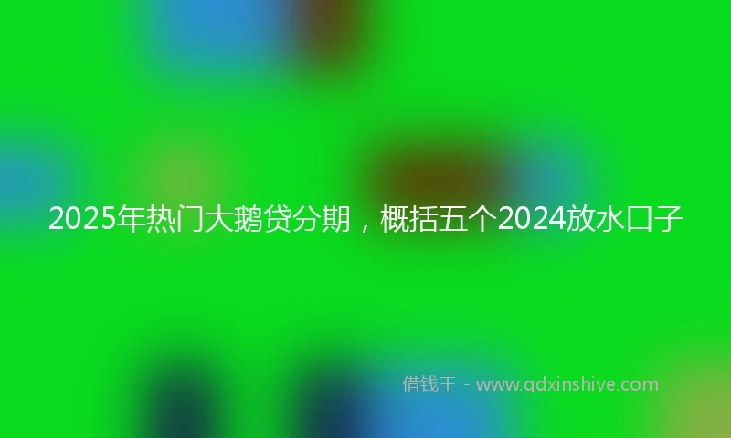 2025年热门大鹅贷分期，概括五个2024放水口子