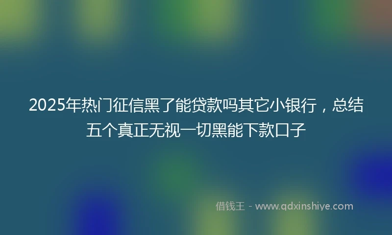 2025年热门征信黑了能贷款吗其它小银行，总结五个真正无视一切黑能下款口子