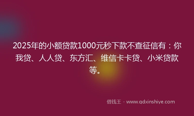 2025年的小额贷款1000元秒下款不查征信有：你我贷、人人贷、东方汇、维信卡卡贷、小米贷款等。