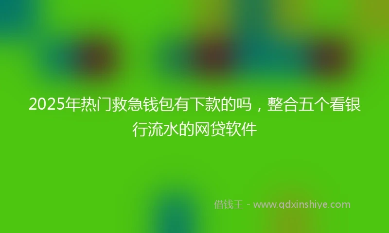 2025年热门救急钱包有下款的吗，整合五个看银行流水的网贷软件