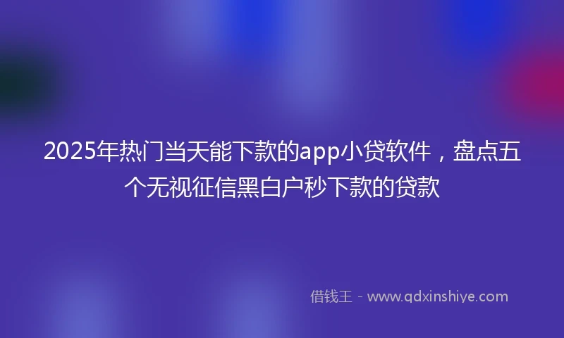2025年热门当天能下款的app小贷软件，盘点五个无视征信黑白户秒下款的贷款