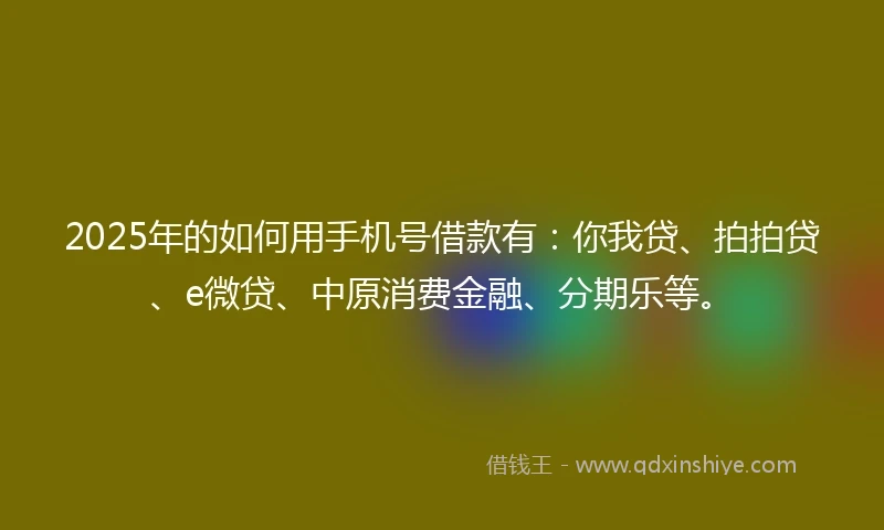 2025年的如何用手机号借款有：你我贷、拍拍贷、e微贷、中原消费金融、分期乐等。